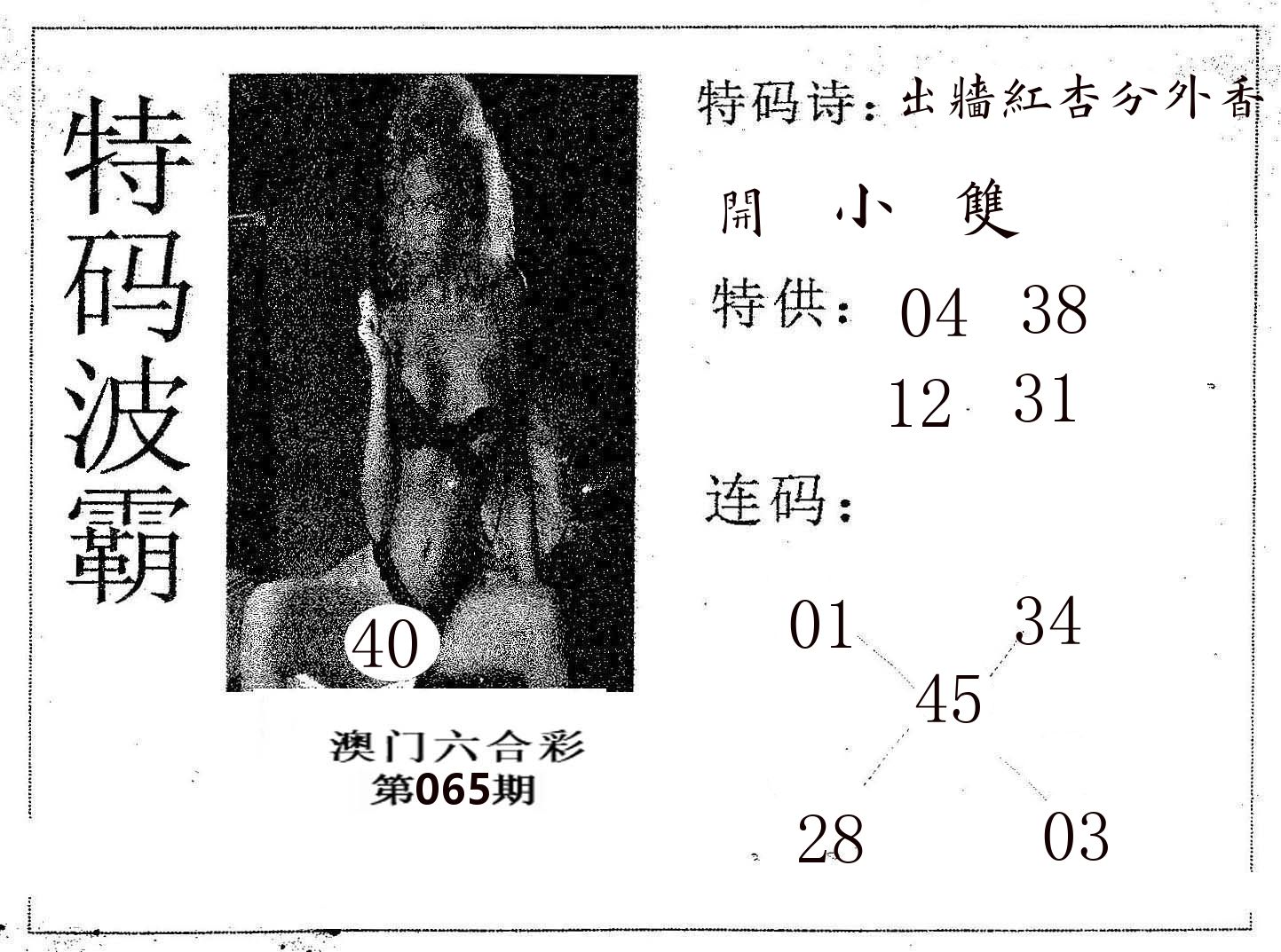 特码波霸 第65期