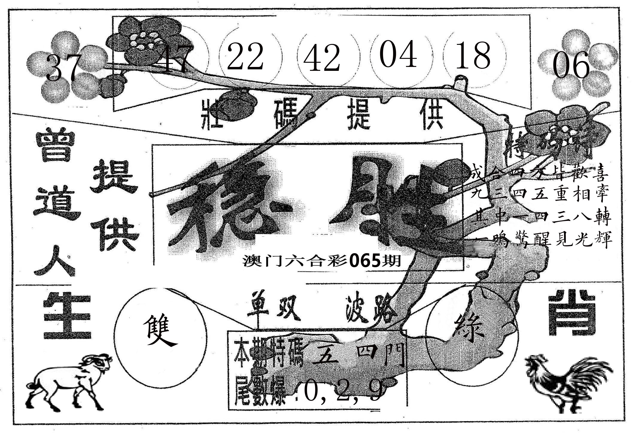 稳胜 第65期