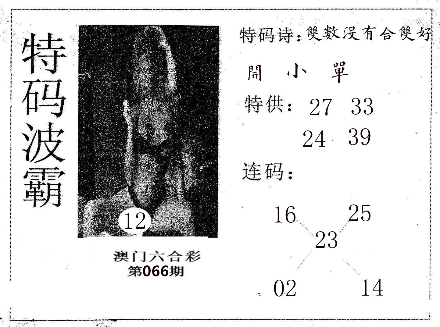 特码波霸 第66期
