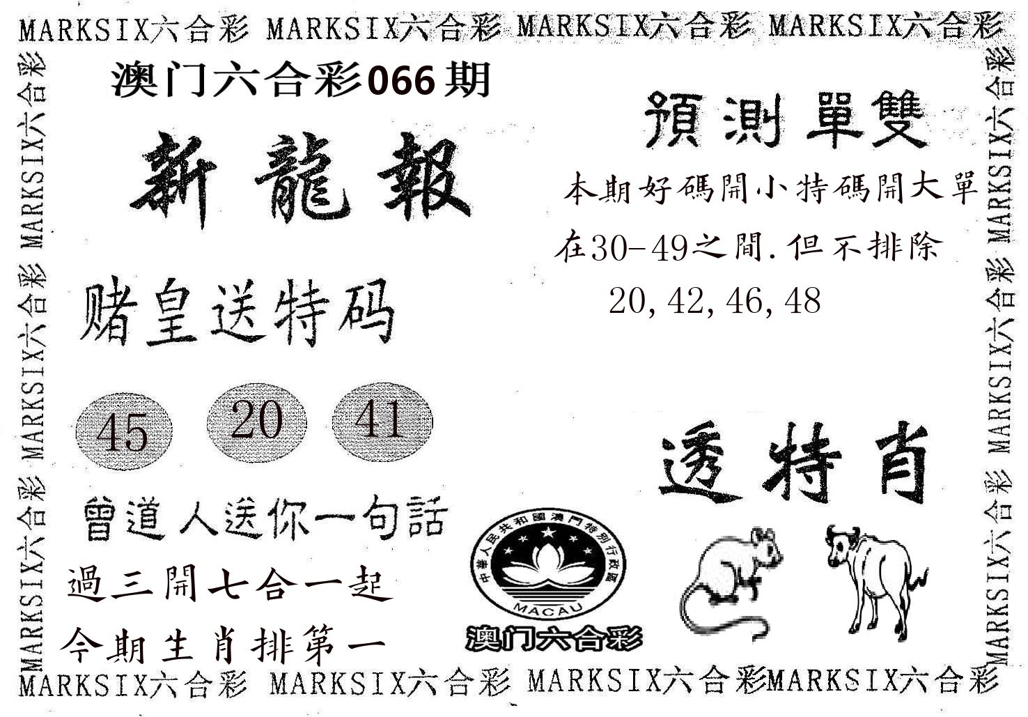 新龙报 第66期