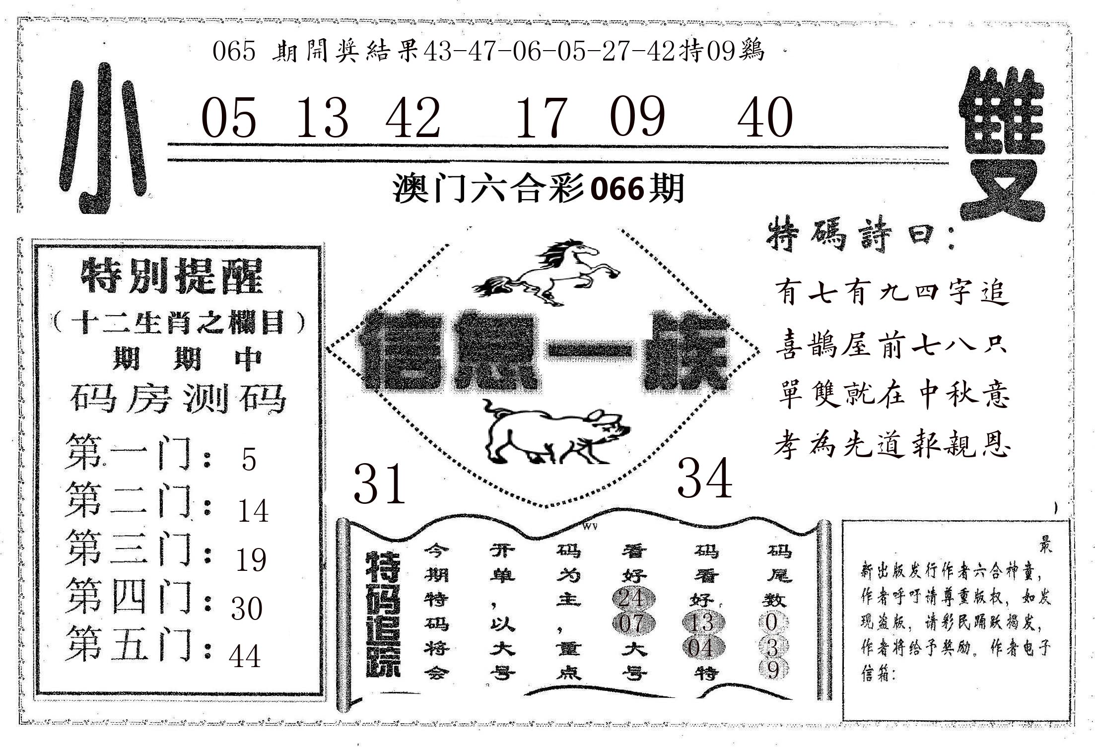 信息一族 第66期