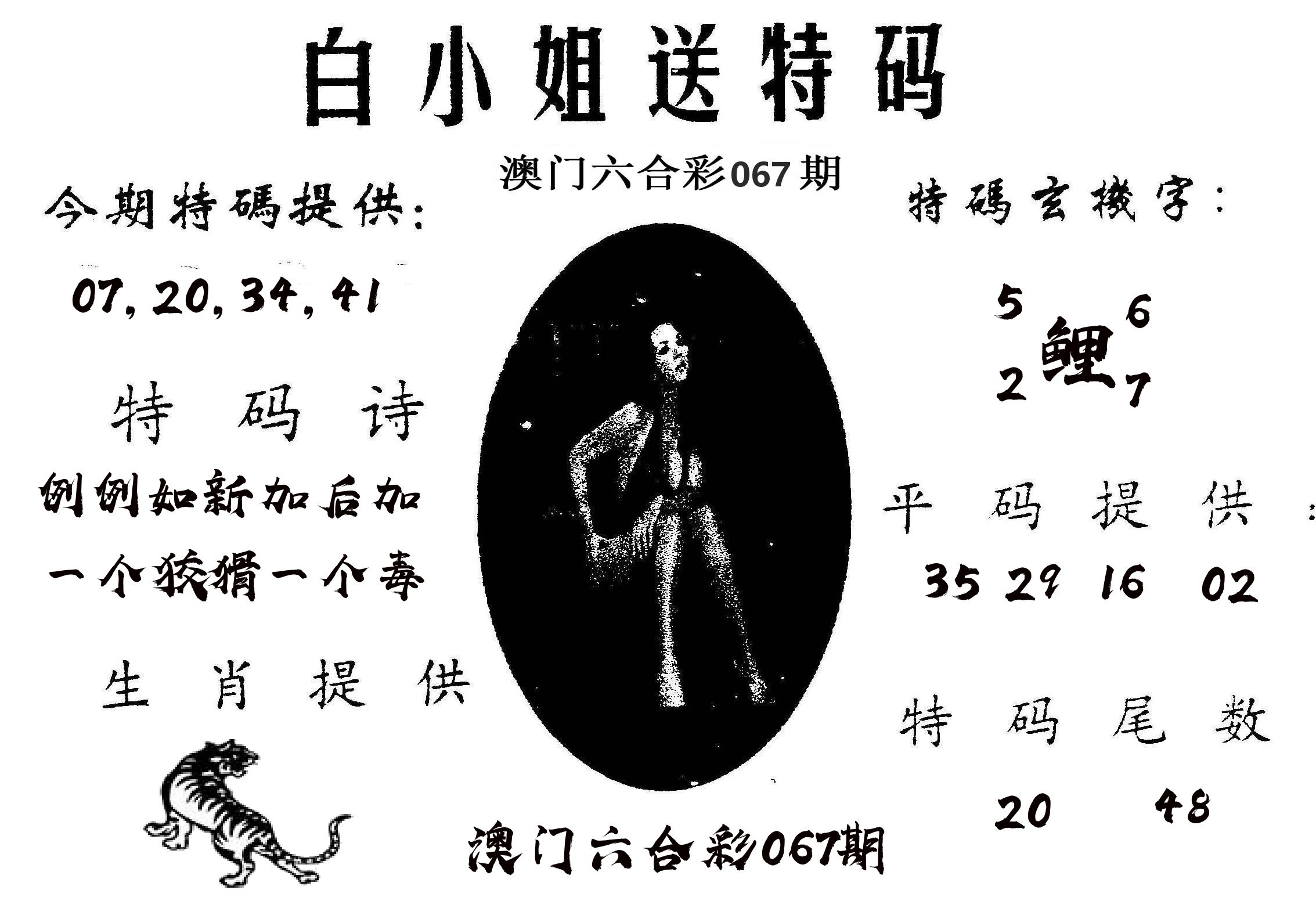 白姐送特 第67期