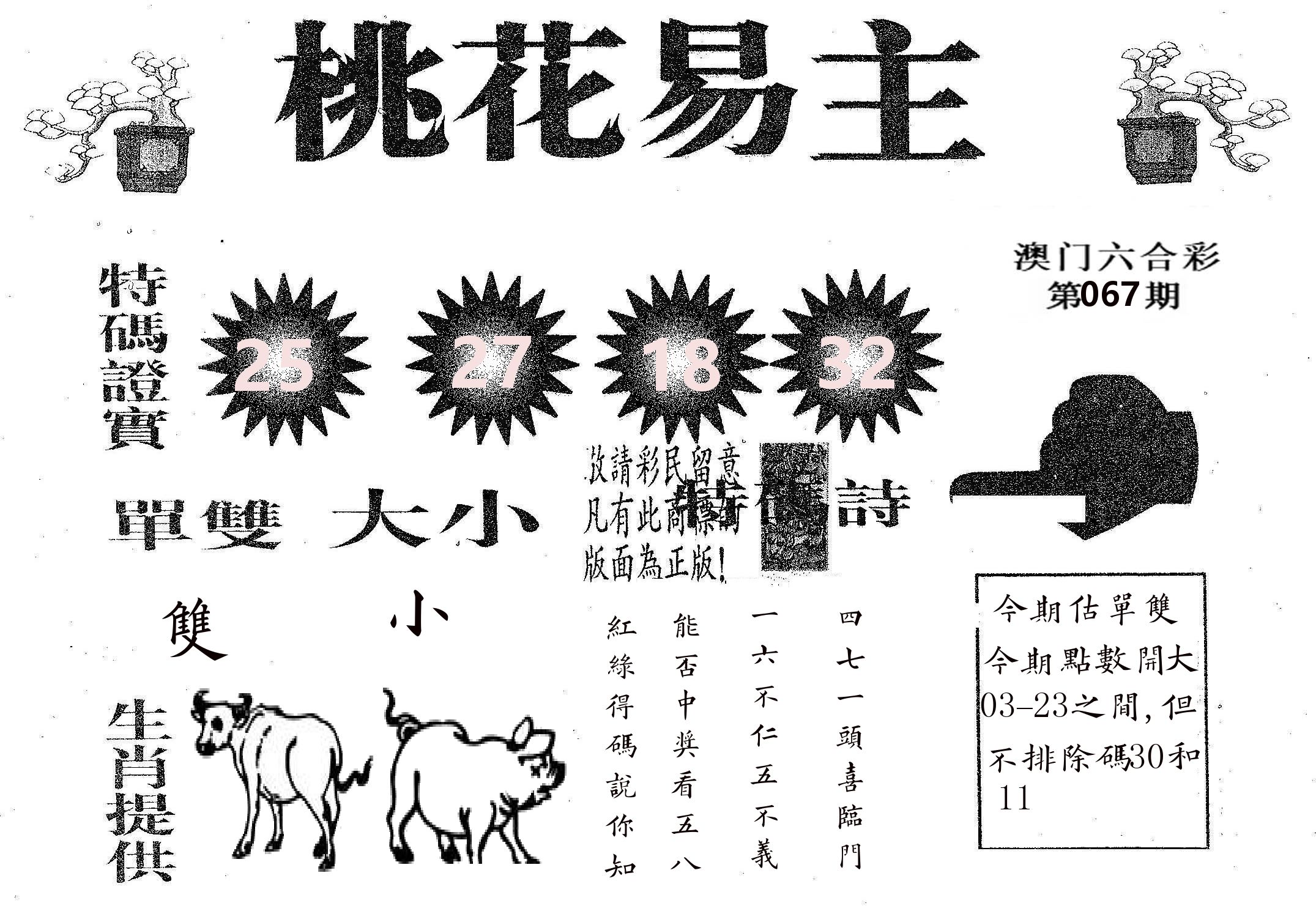 桃花易主 第67期