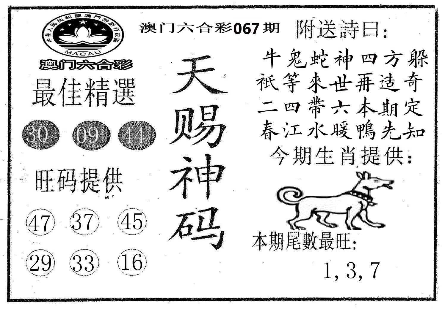 天赐神码 第67期