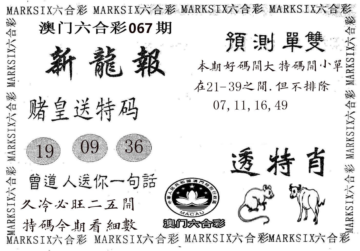 新龙报 第67期