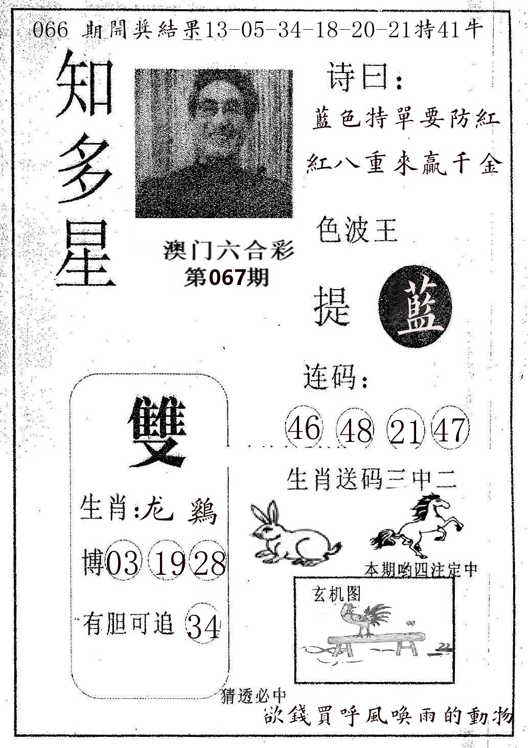 知多星 第67期
