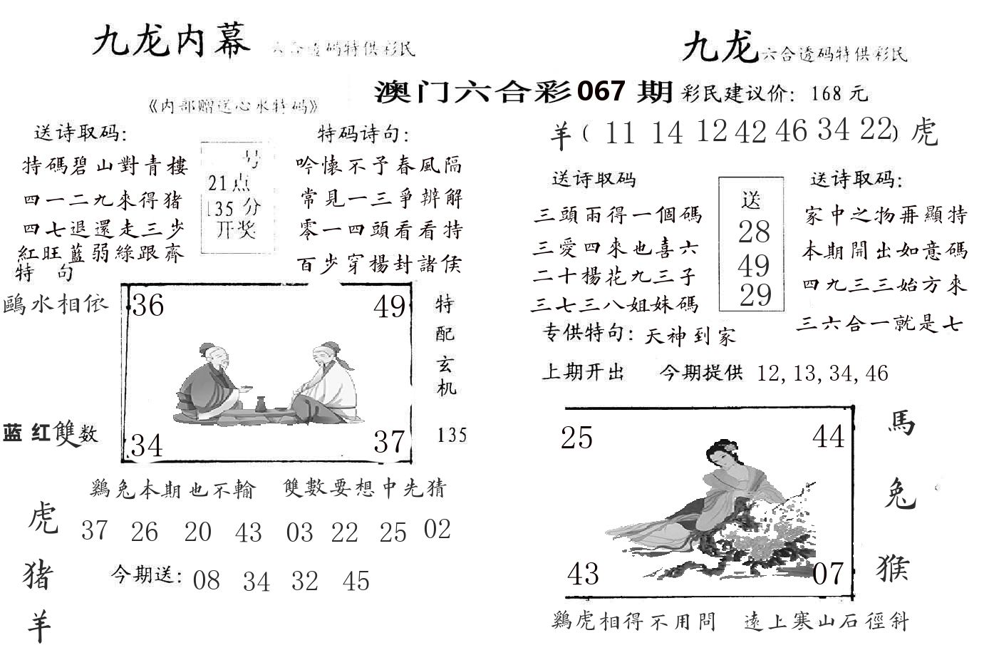 九龙内幕 第67期