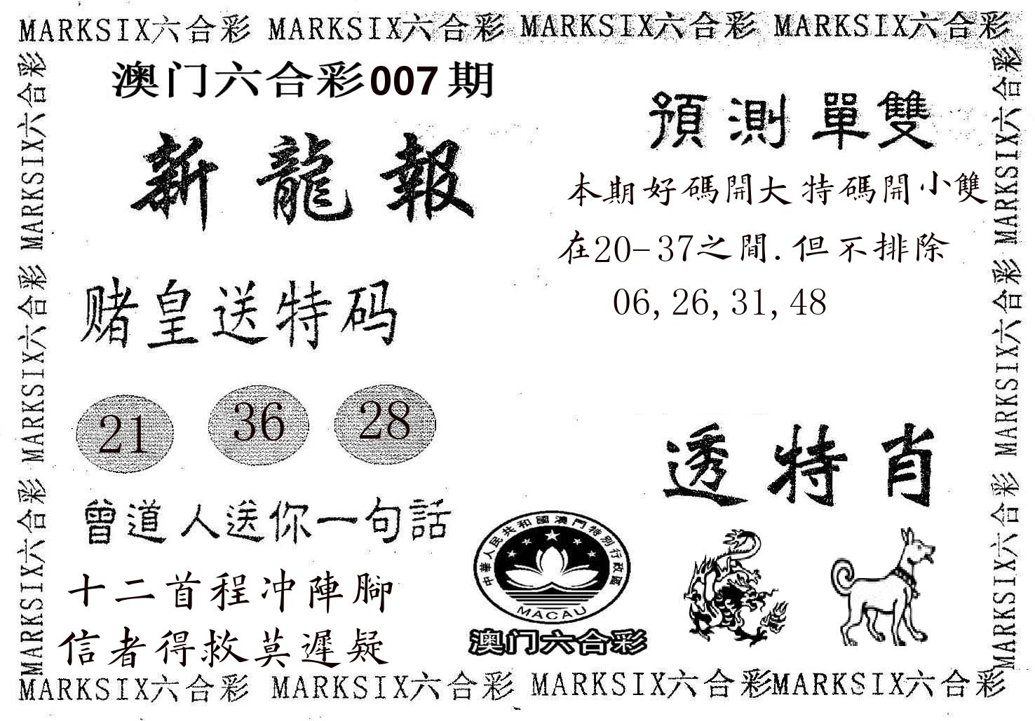 新龙报 第7期
