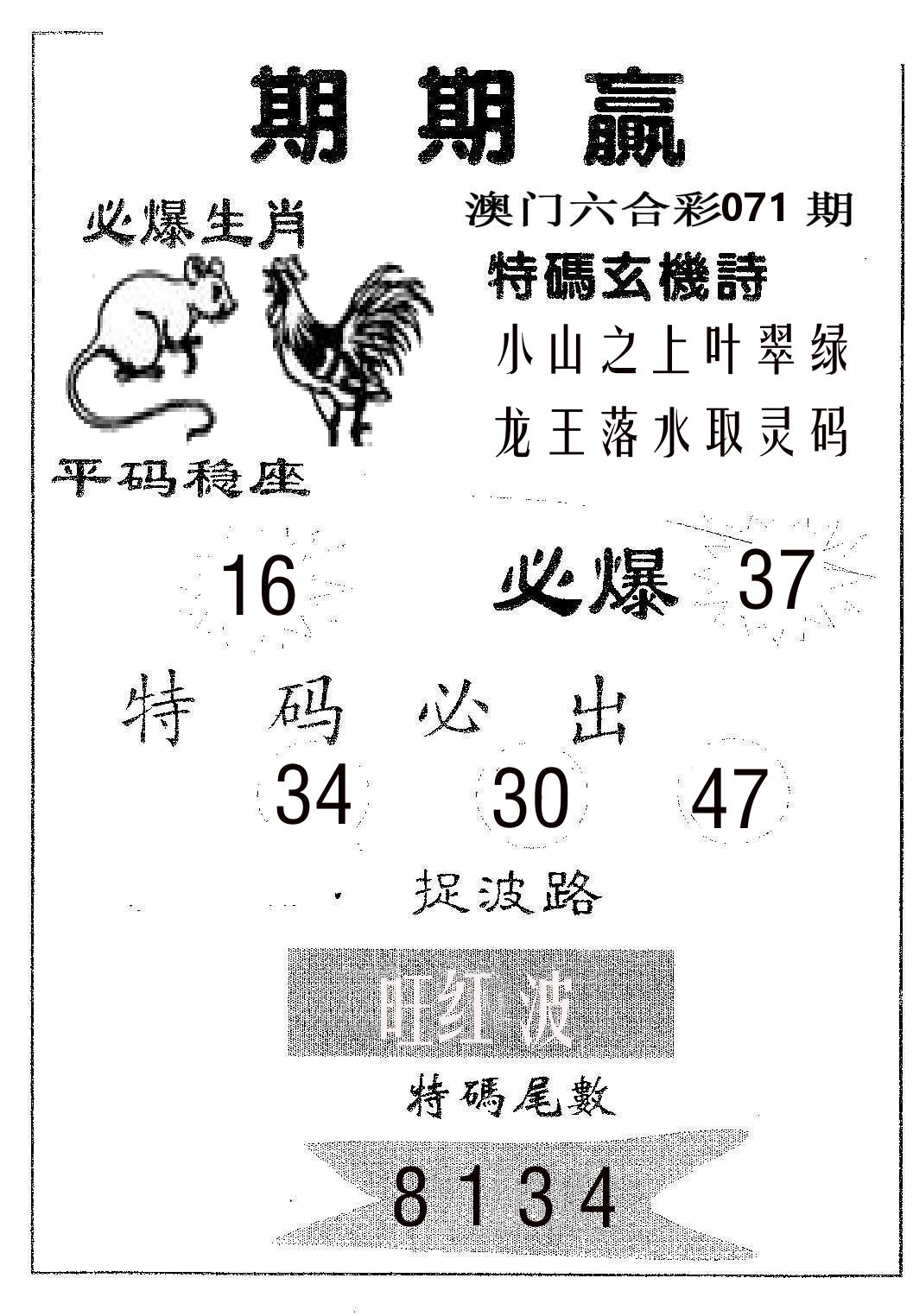期期赢 第71期