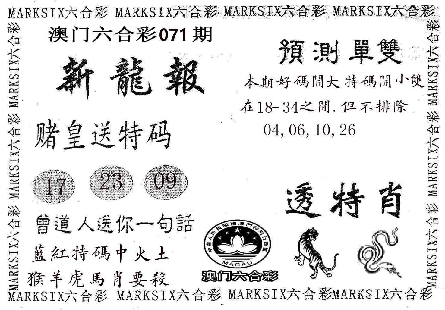 新龙报 第71期