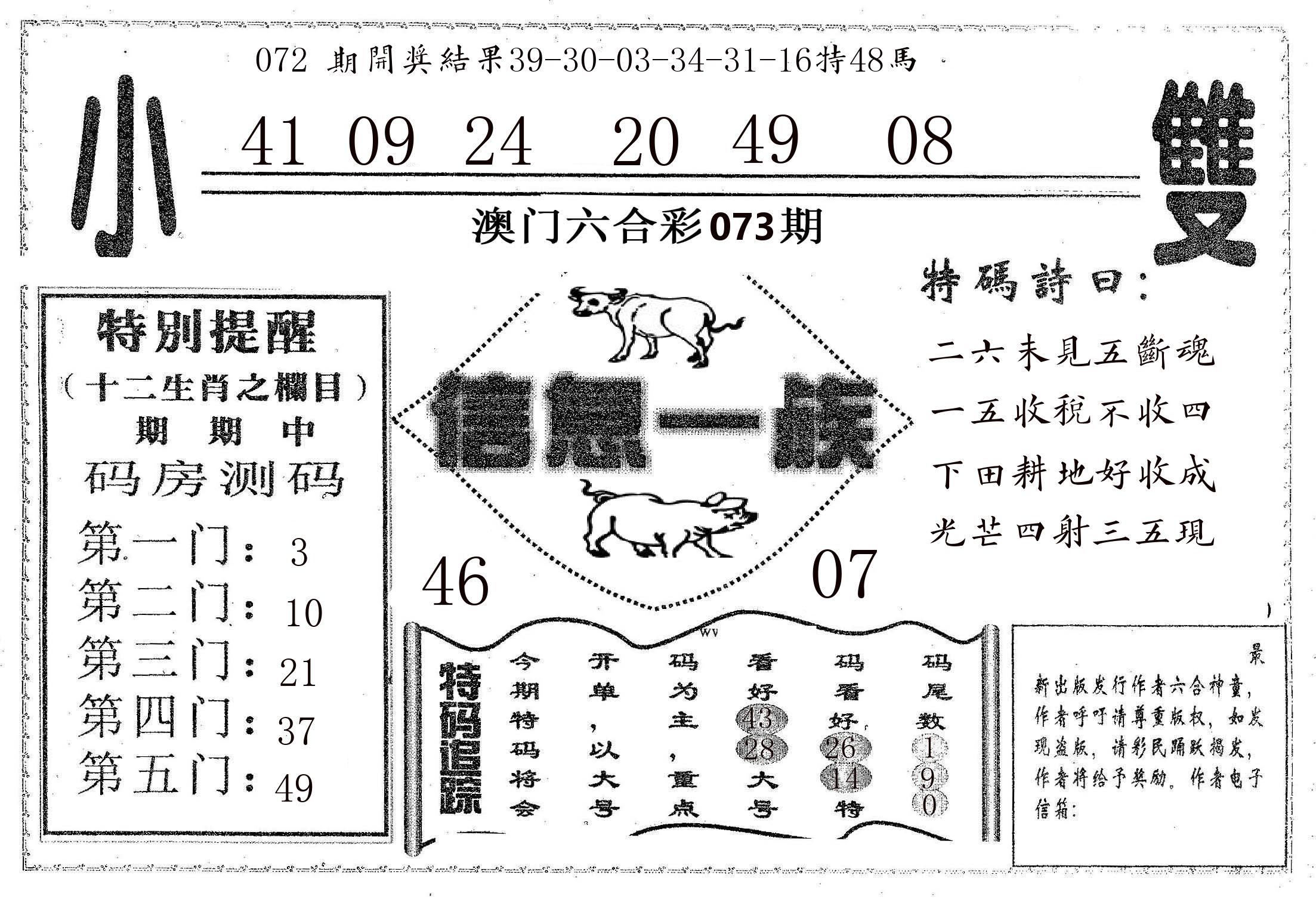 信息一族 第73期