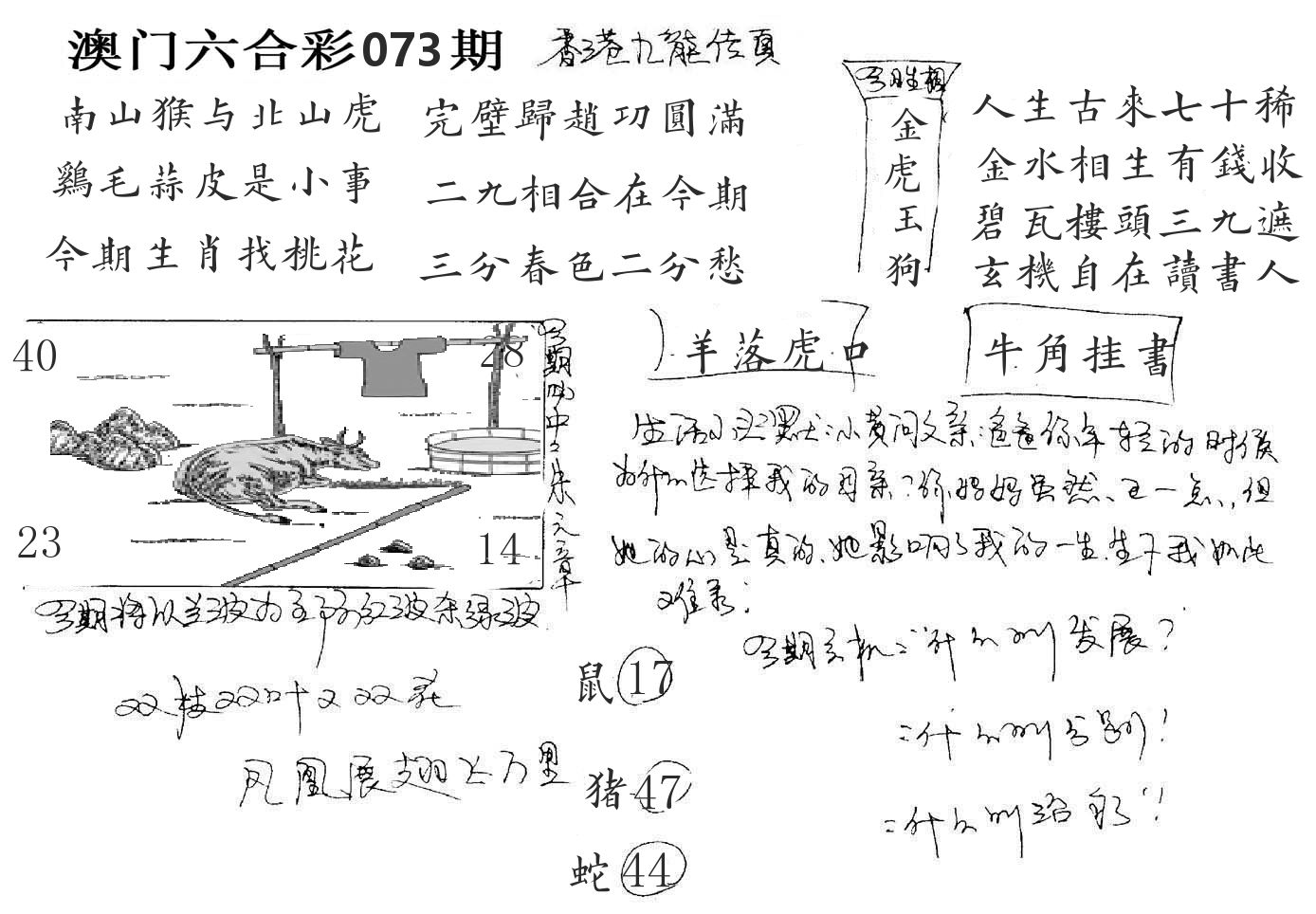 澳门手写九龙 第73期