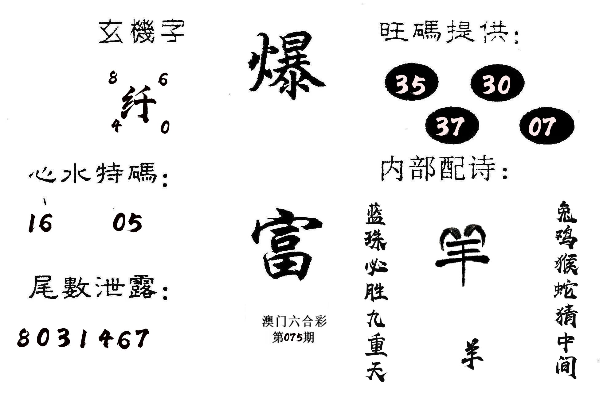 爆富 第75期