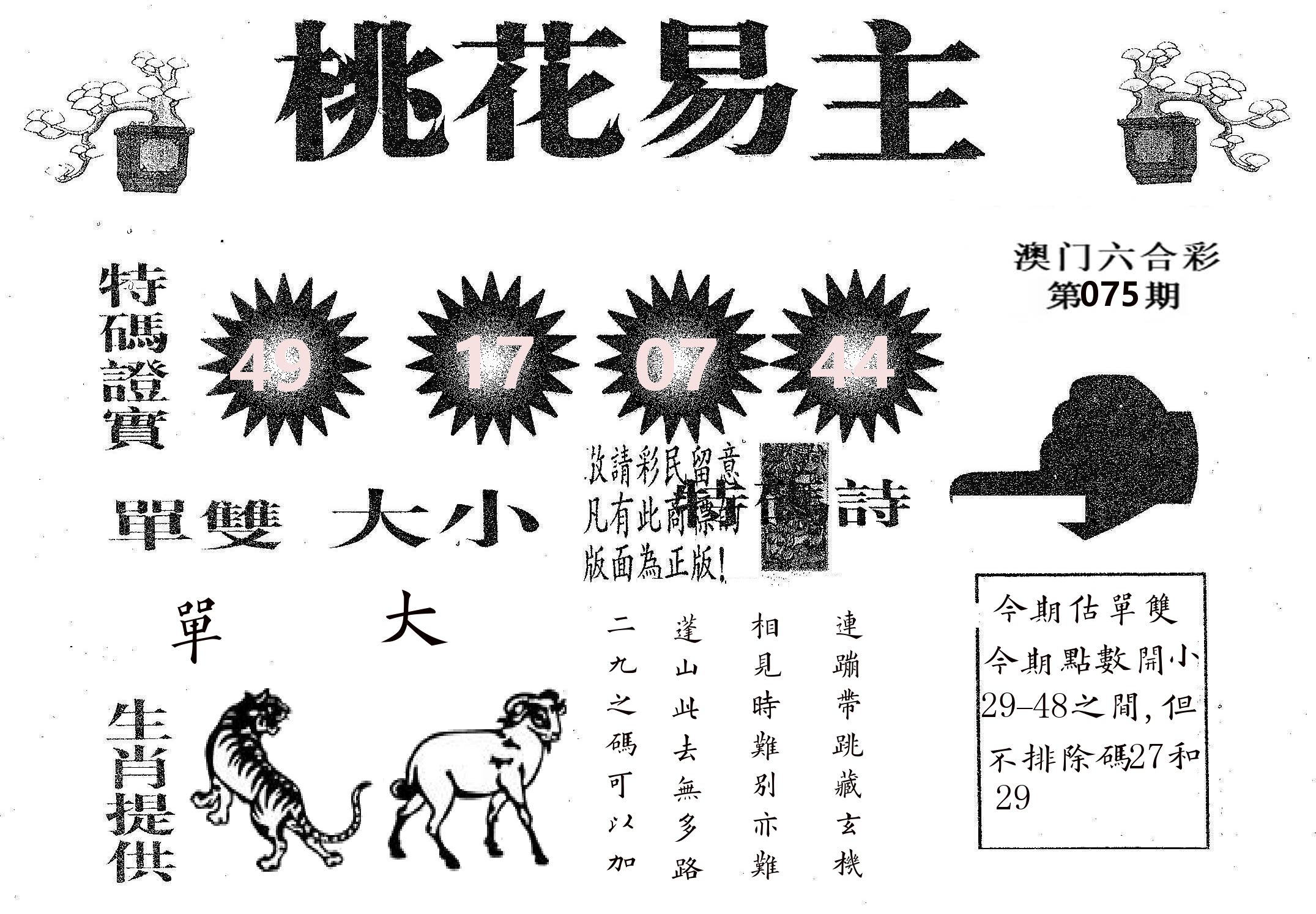 桃花易主 第75期