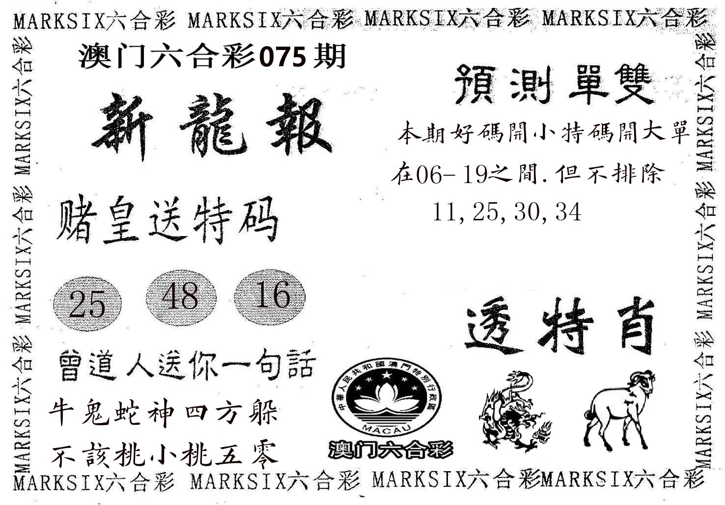新龙报 第75期