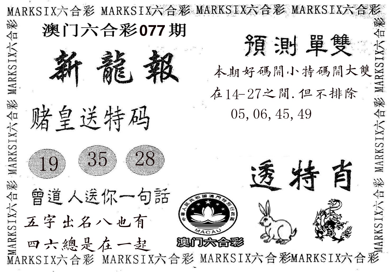 新龙报 第77期