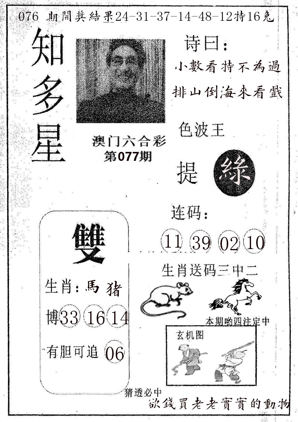 知多星 第77期