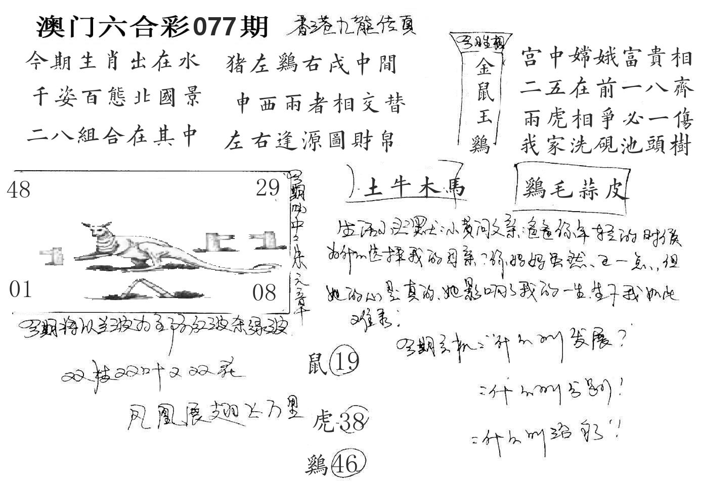 澳门手写九龙 第77期