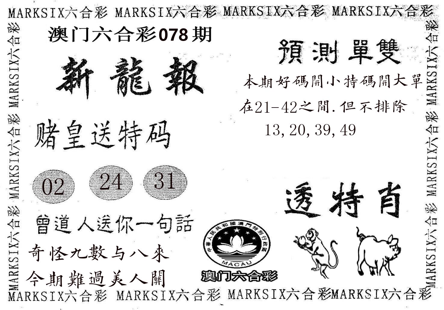 新龙报 第78期