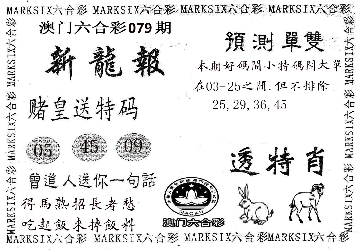 新龙报 第79期