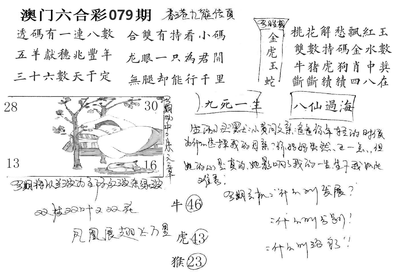 澳门手写九龙 第79期
