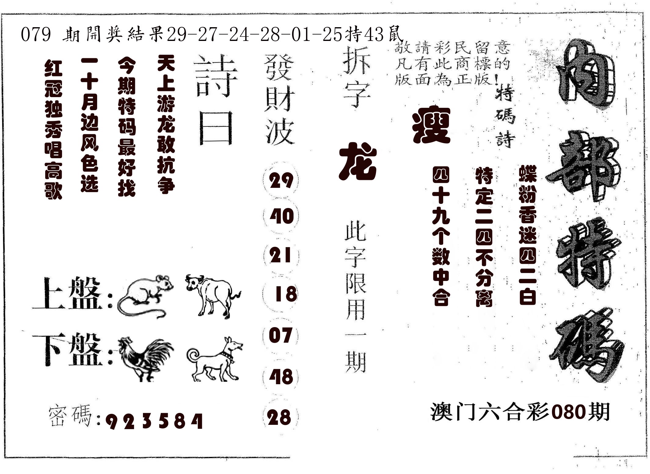 内部特码 第80期