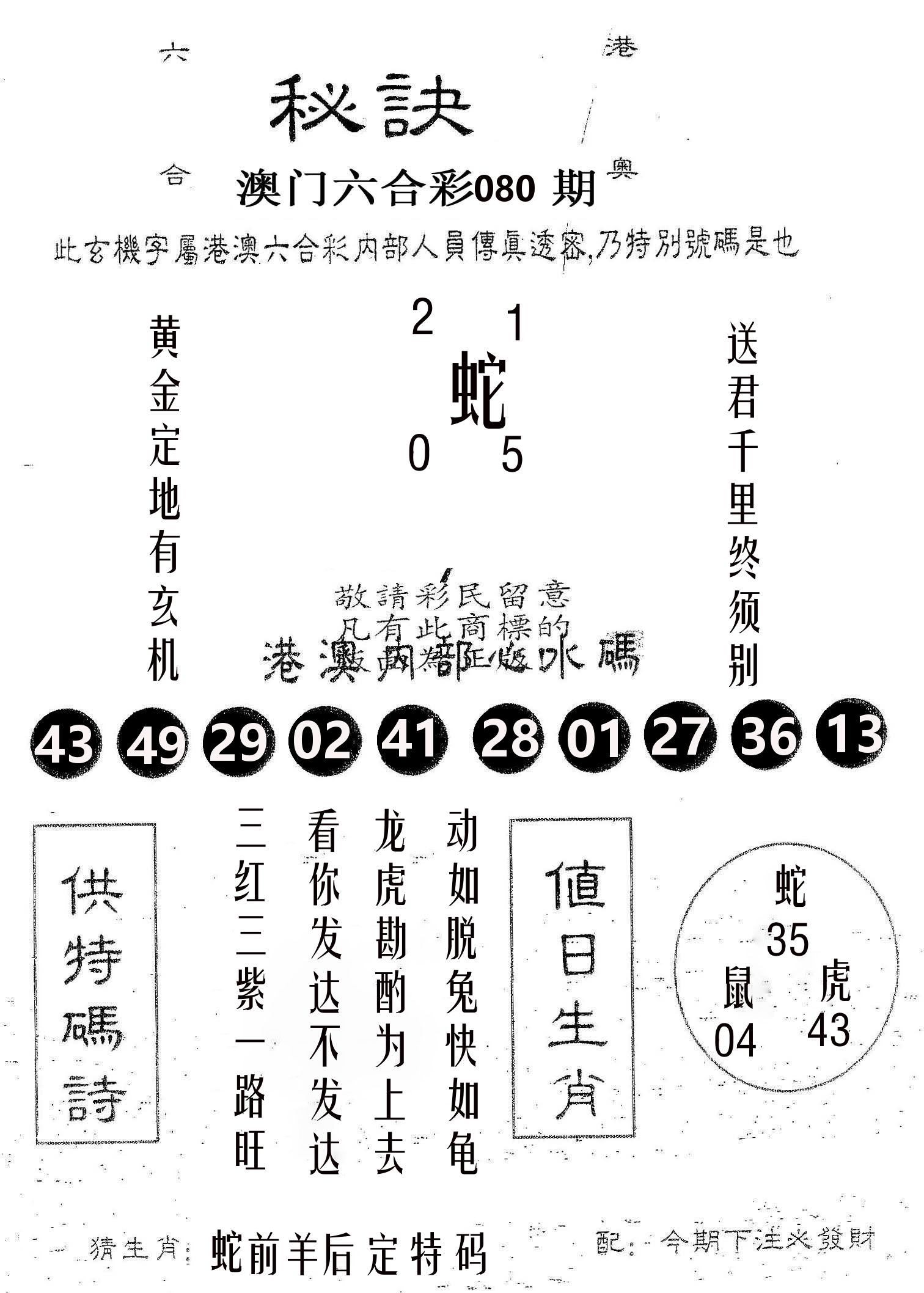 秘决 第80期