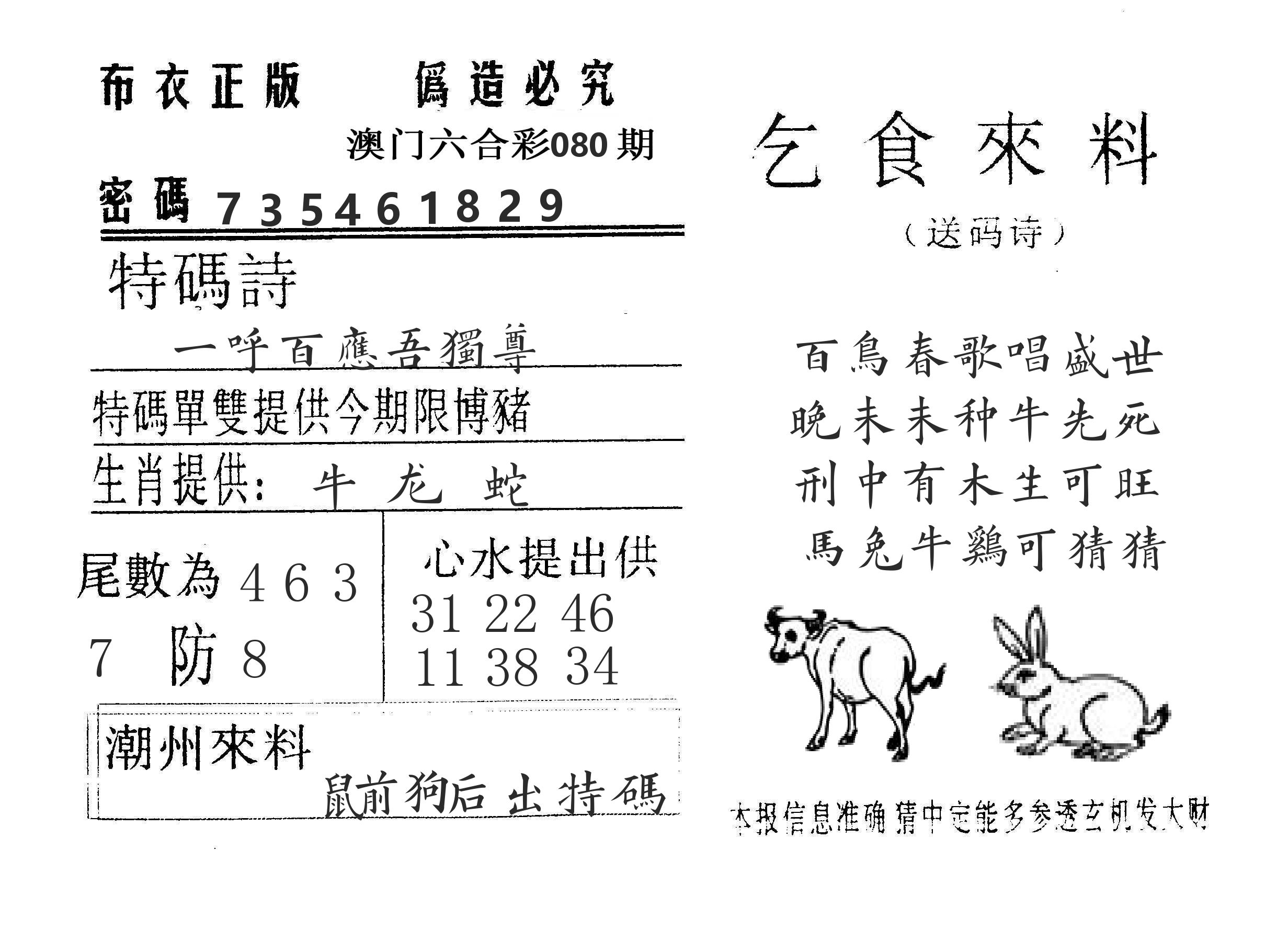 乞食来料 第80期
