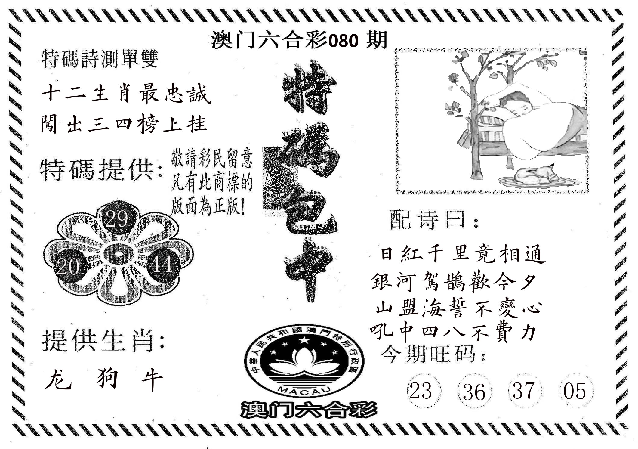 特码包中 第80期