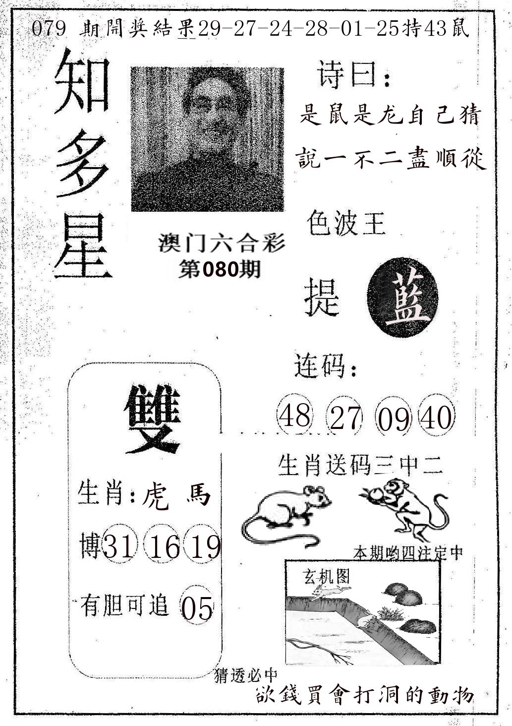 知多星 第80期