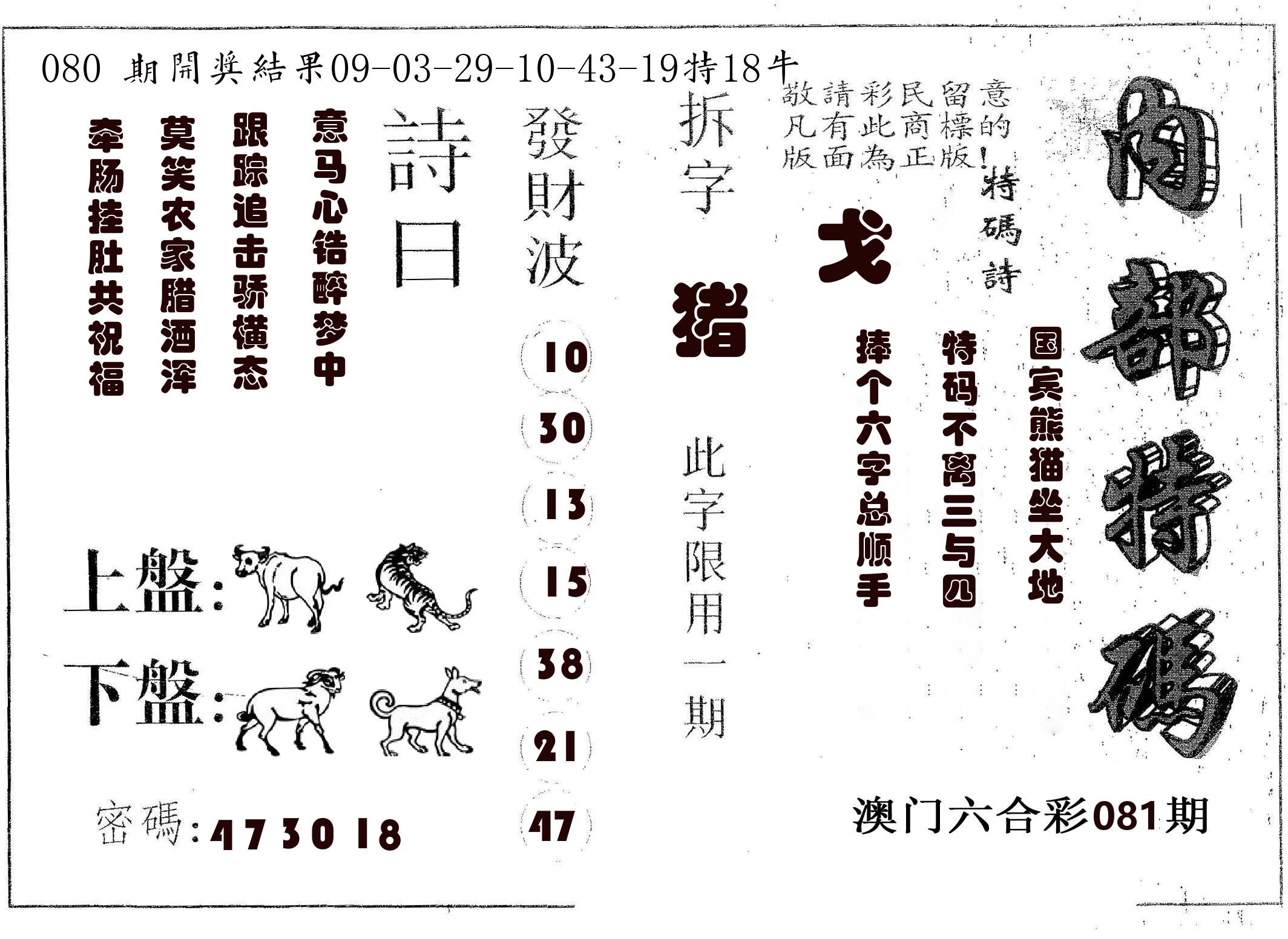 内部特码 第81期