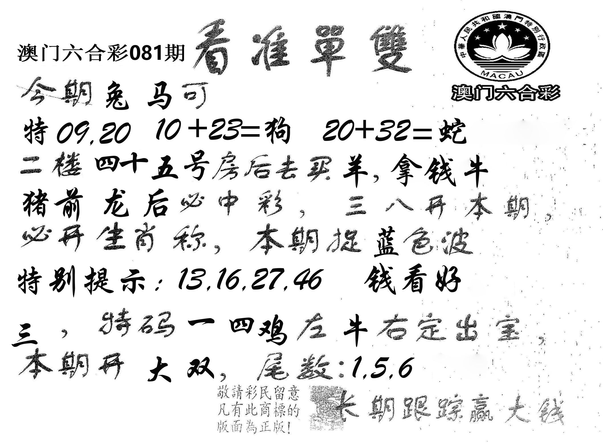 看准单双 第81期