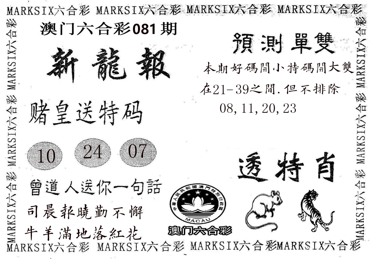 新龙报 第81期