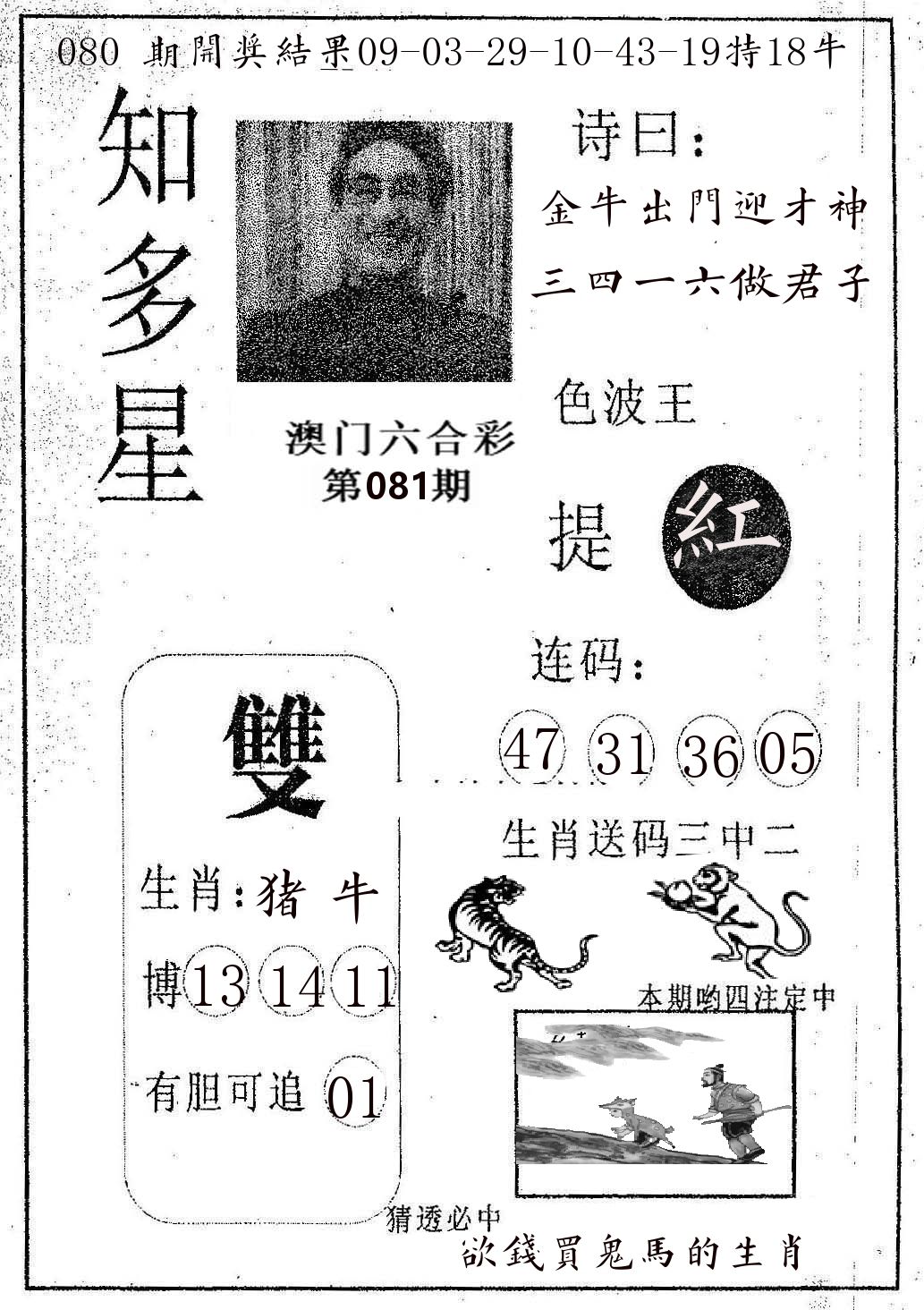 知多星 第81期
