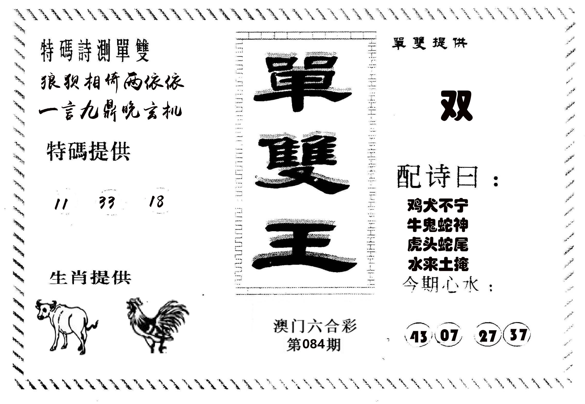 单双王B 第84期