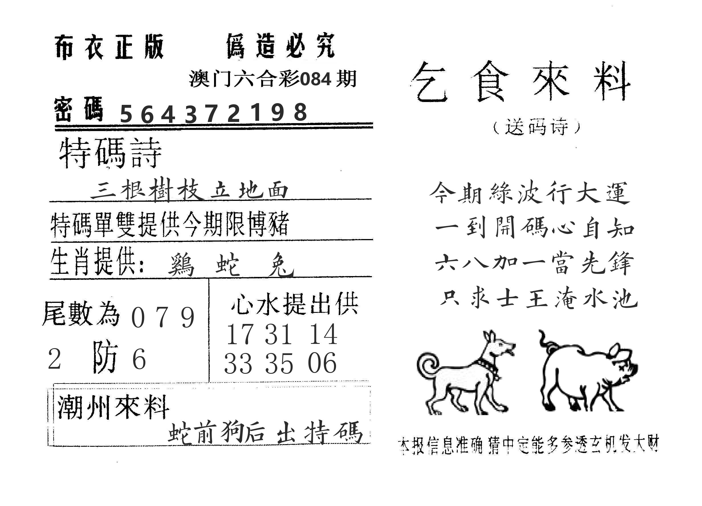 乞食来料 第84期