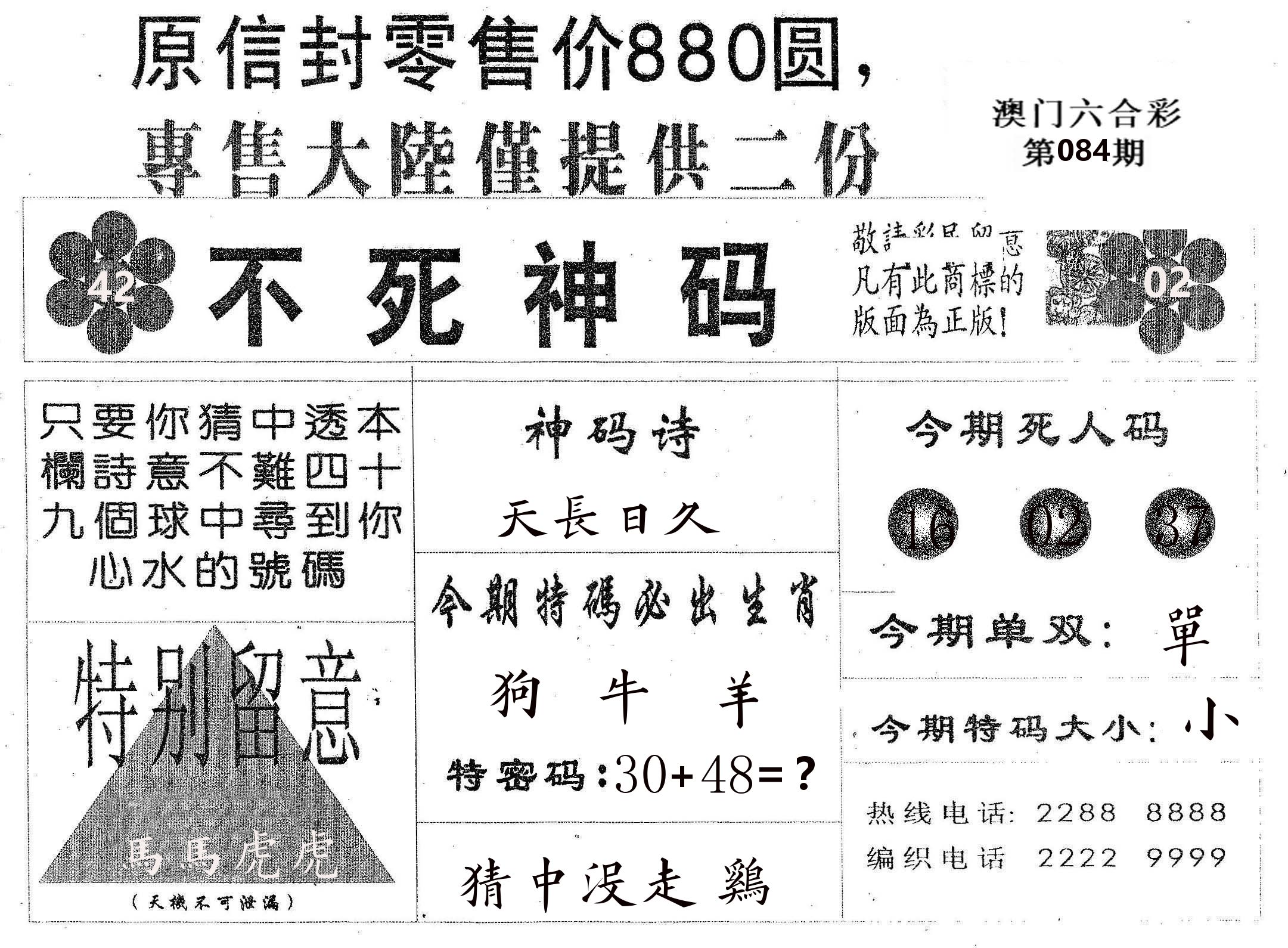 不死码B 第84期
