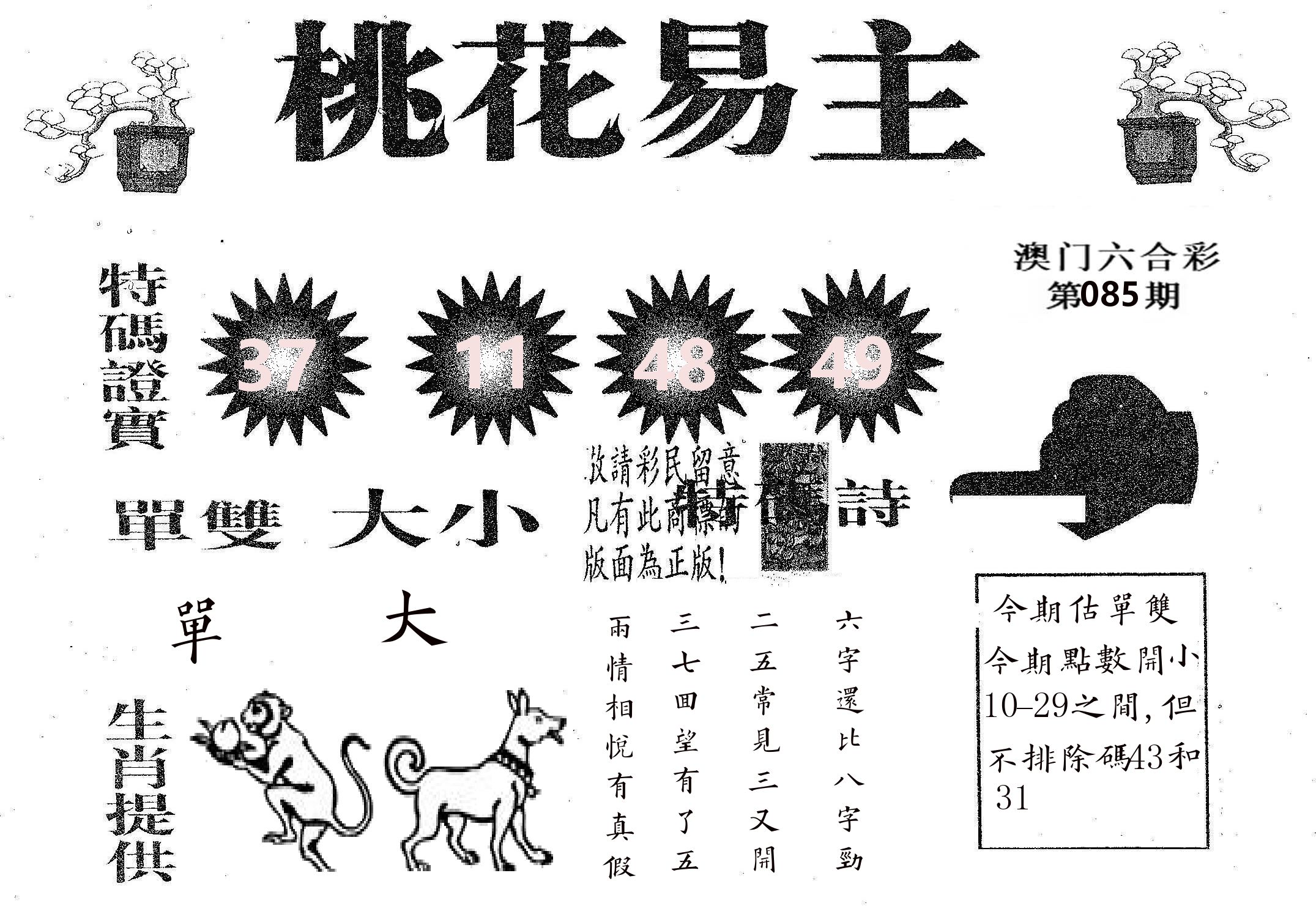 桃花易主 第85期