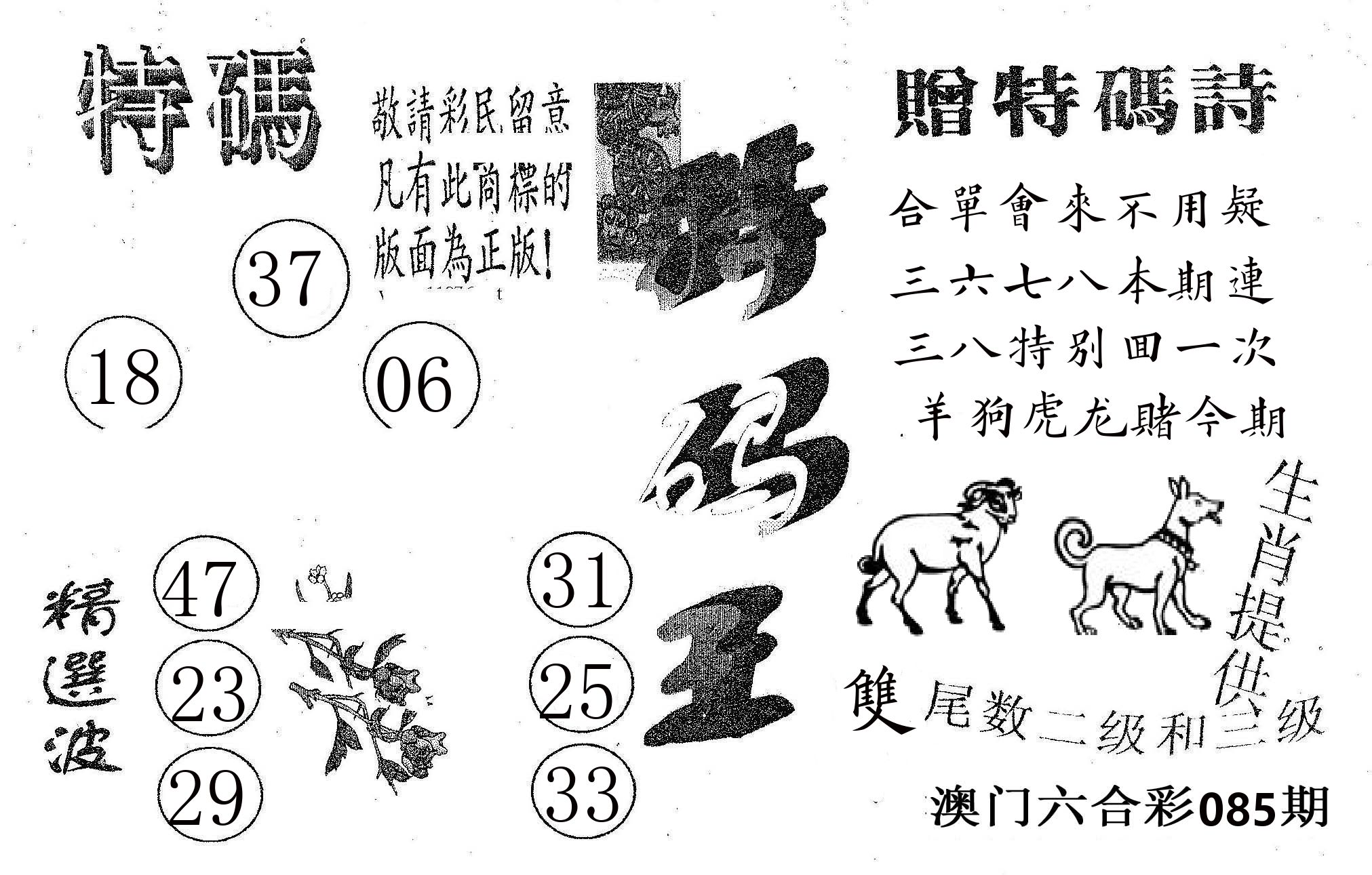 特码王A 第85期