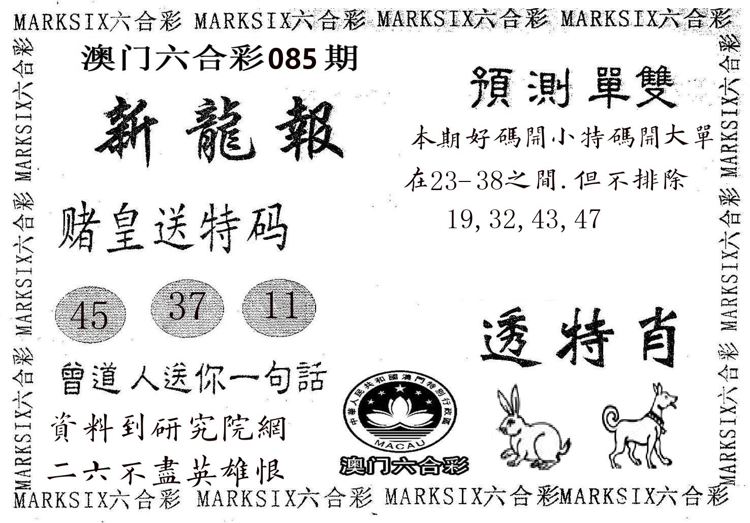 新龙报 第85期