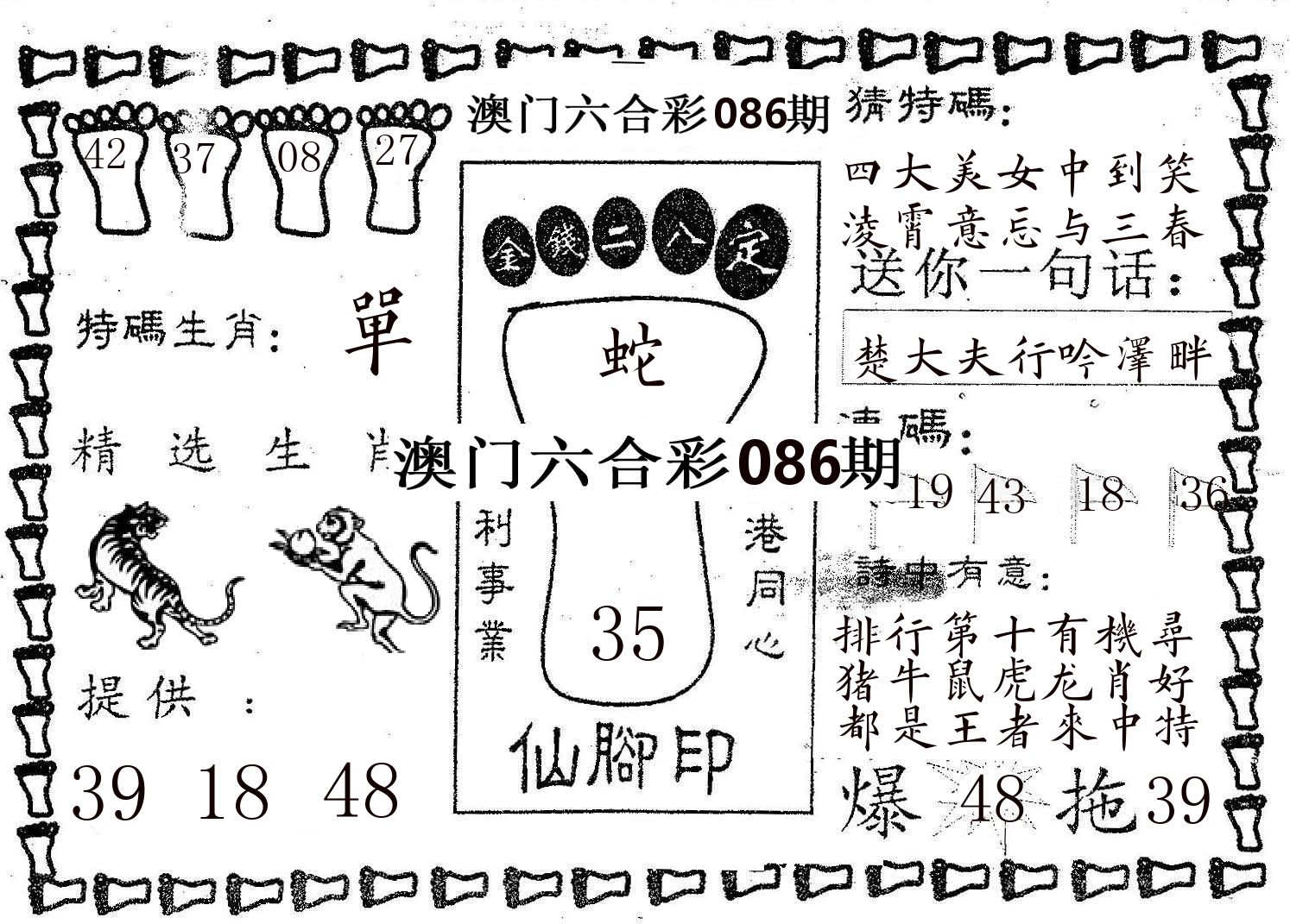仙脚印 第86期