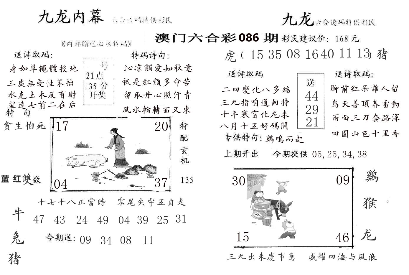 九龙内幕 第86期