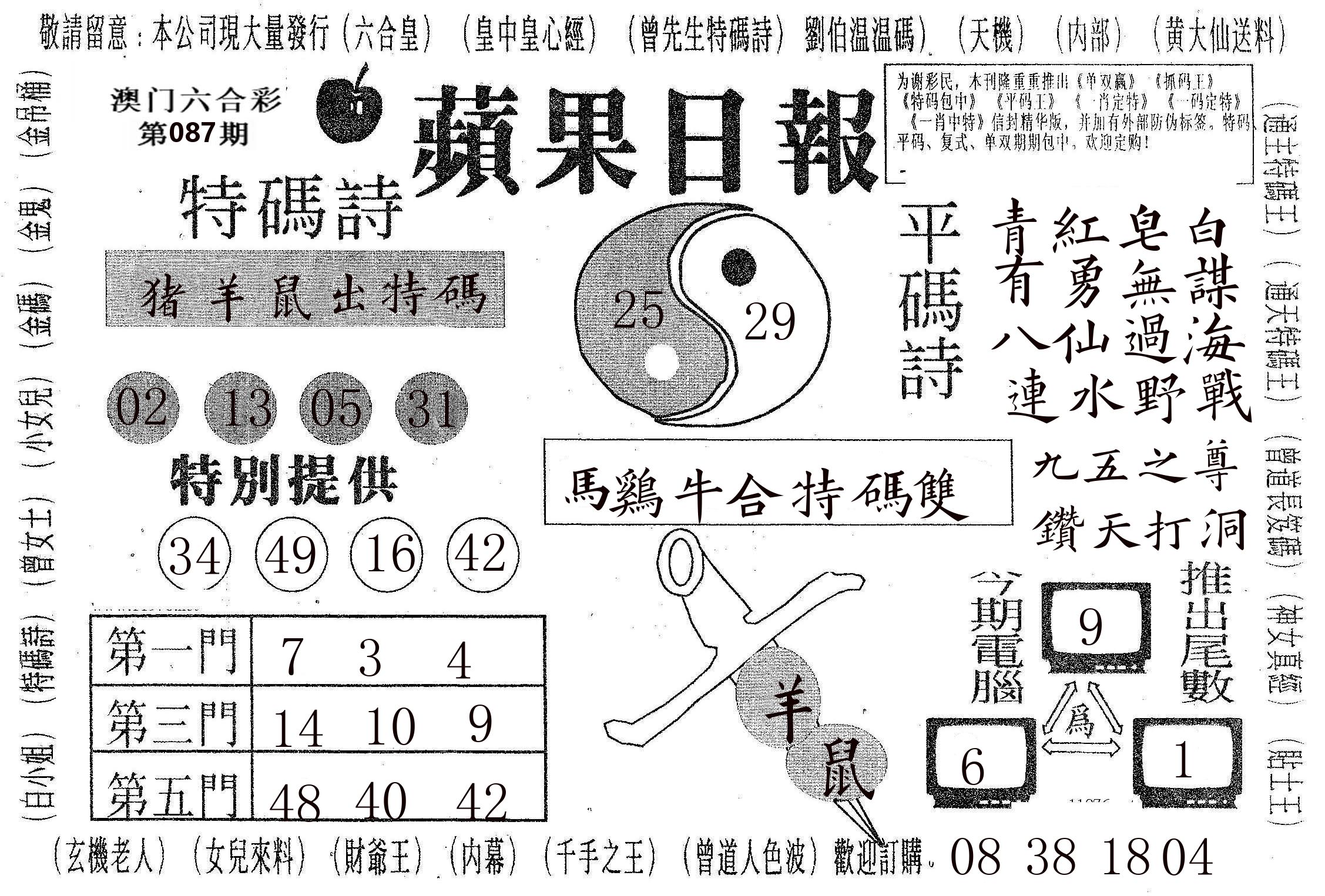 新苹果日报 第87期