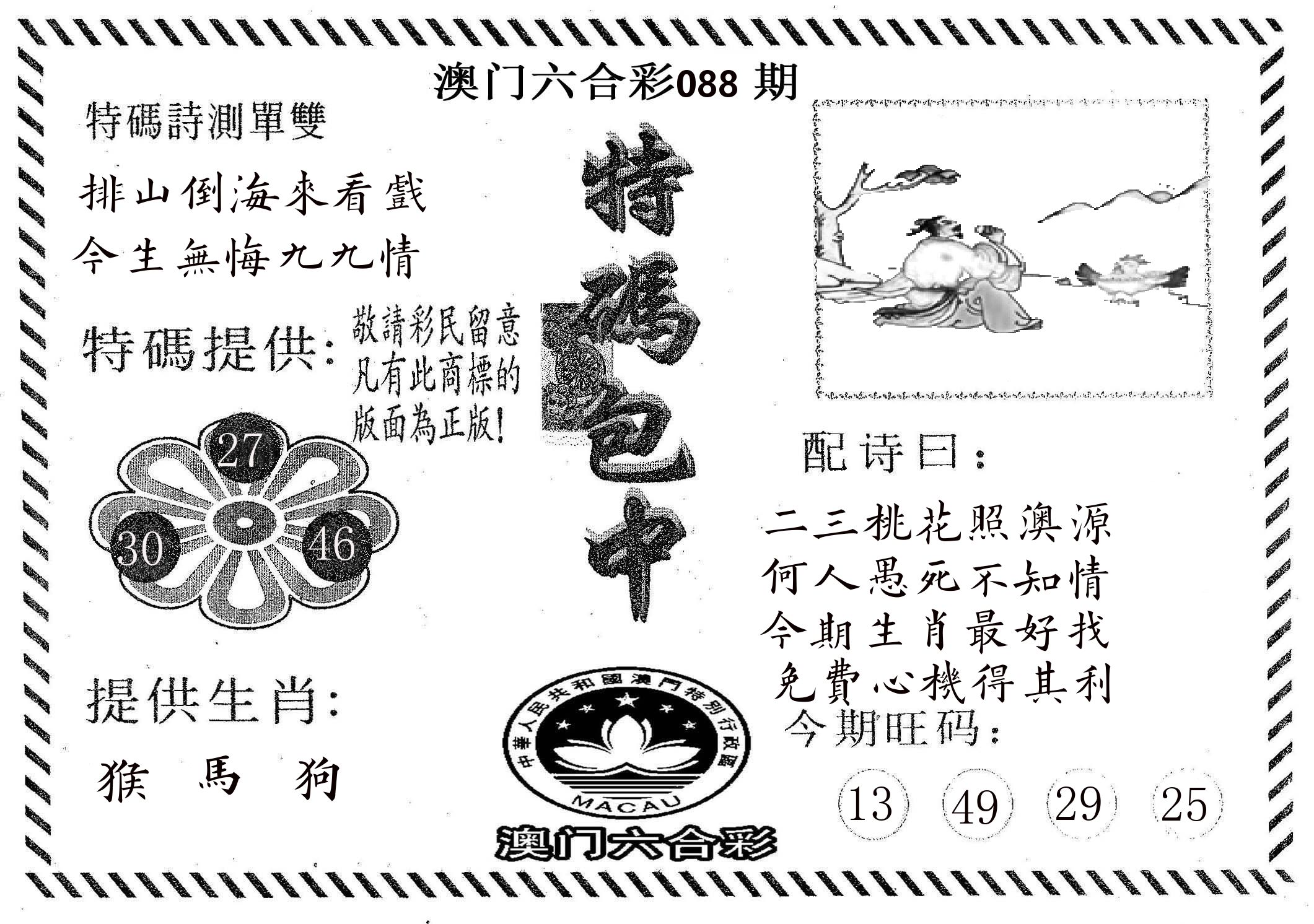 特码包中 第88期