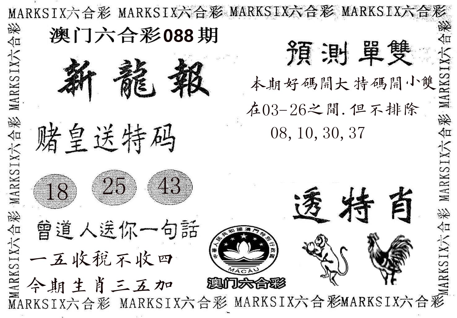 新龙报 第88期