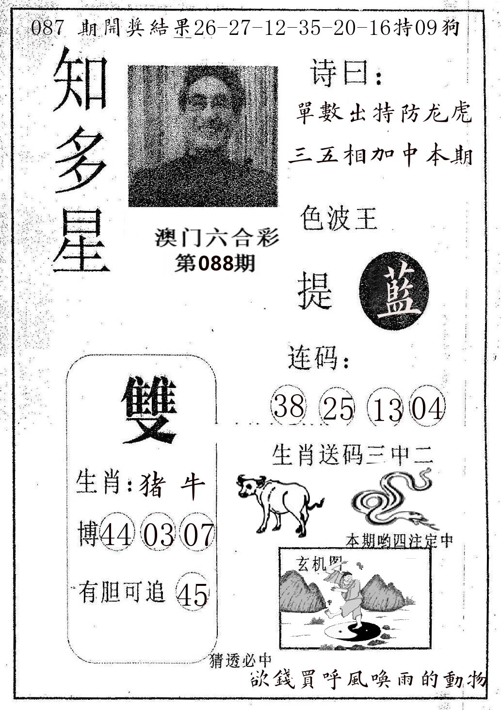 知多星 第88期