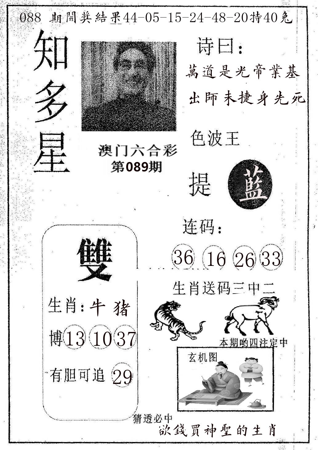 知多星 第89期