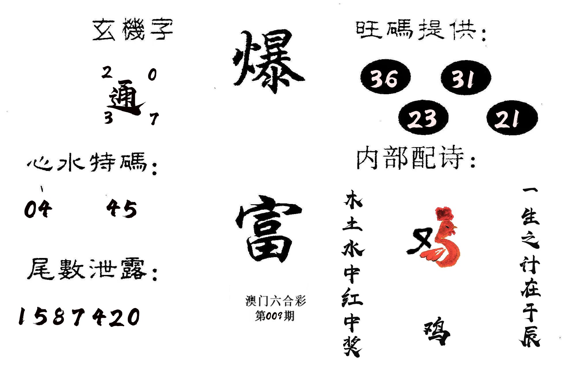 爆富 第9期