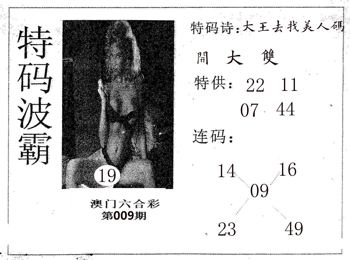 特码波霸 第9期