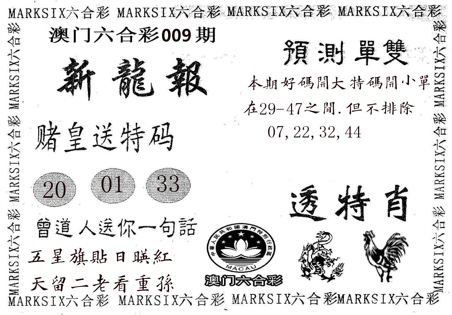 新龙报 第9期